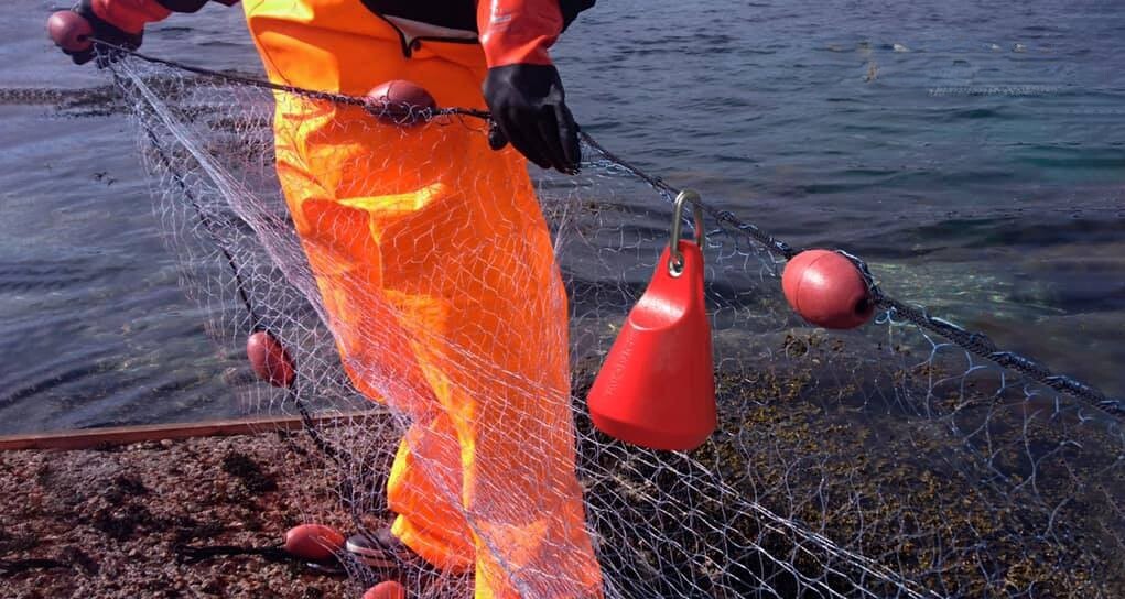 480570779_1097203422420961_234678097005328814_n