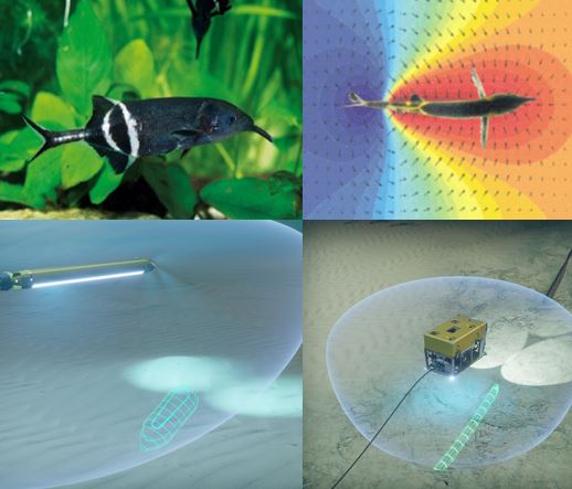 New member: Welcome aboard Elwave - Ocean Autonomy Cluster